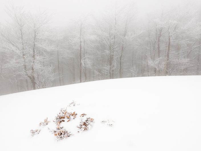 Paesaggio invernale ai margini della faggeta - Monti Simbruini
