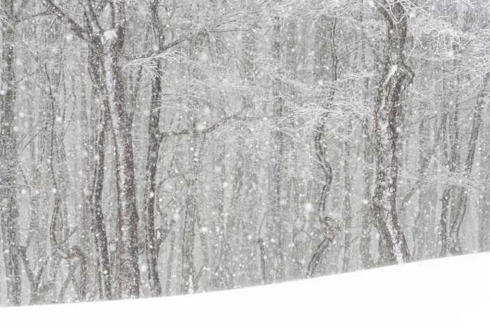Poesia dell'inverno - Monti Simbruini