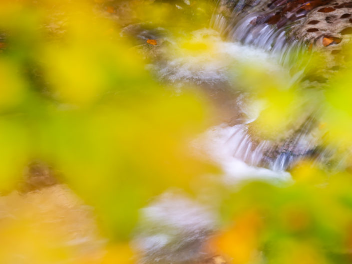 Sorgenti dell'Aniene in autunno - Monti Simbruini