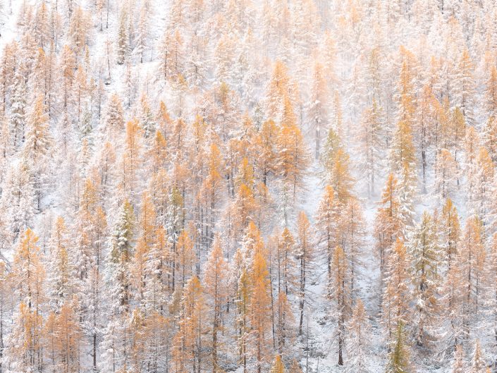 L'autunno incontra l'inverno - Valle d'Aosta